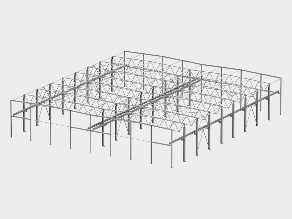 Binoning ferma turi karkasi